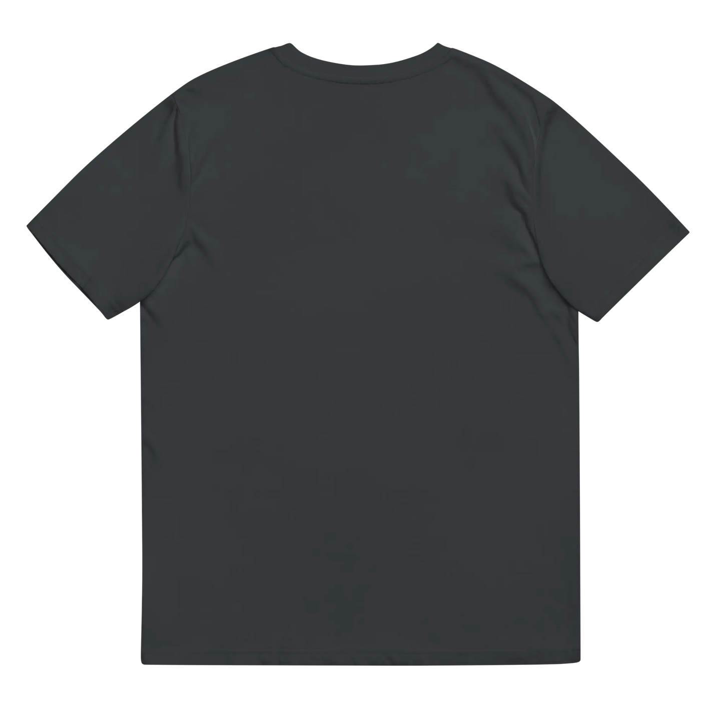 Made from 100% organic combed ring-spun cotton. Fabric weight: 5.3 oz/yd² (180 g/m²). Designed with a regular fit, set-in sleeves, 1×1 ribbed collar, double-needle topstitching on the sleeves and bottom hem, and self-fabric neck tape inside the back. Finished with a front DTG architectural print and a custom inside label.