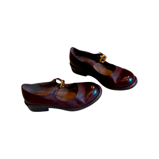 Pair of brown leather shoes with gold buckles on a white background
