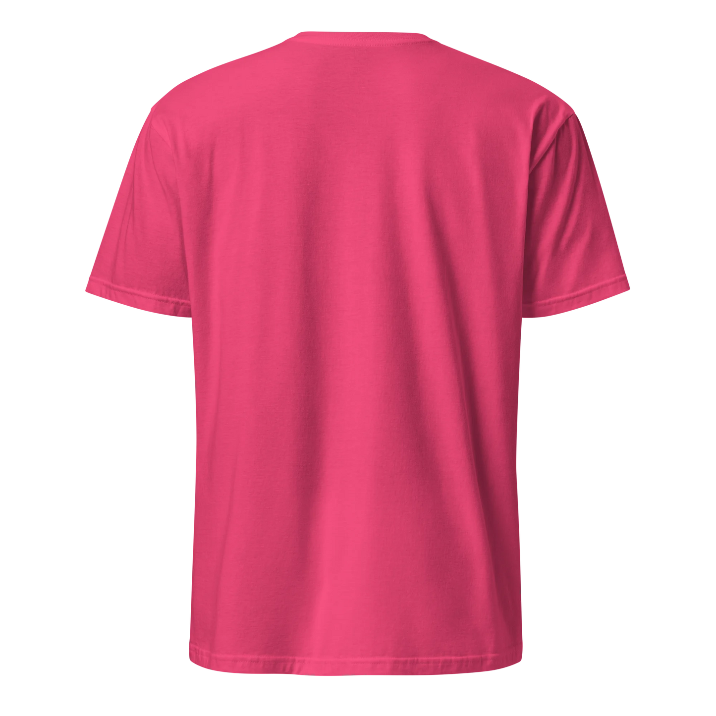 Made from 100% organic combed ring-spun cotton. Fabric weight: 5.3 oz/yd² (180 g/m²). Designed with a regular fit, set-in sleeves, 1×1 ribbed collar, double-needle topstitching on the sleeves and bottom hem, and self-fabric neck tape inside the back. Finished with a front DTG architectural print.