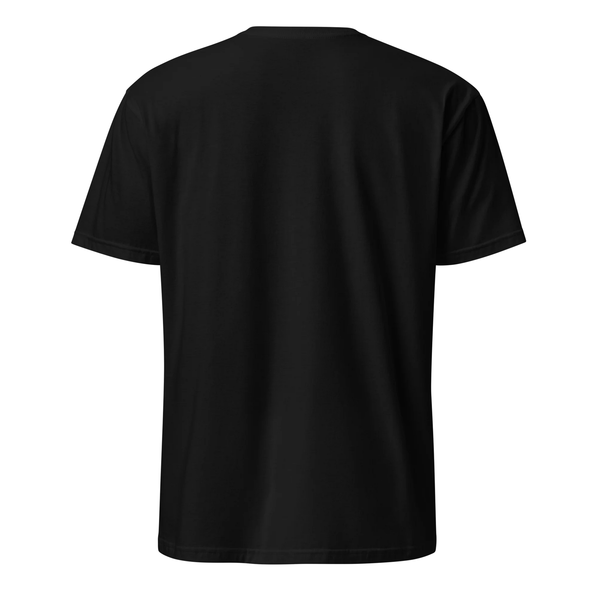 Made from 100% organic combed ring-spun cotton. Fabric weight: 5.3 oz/yd² (180 g/m²). Designed with a regular fit, set-in sleeves, 1×1 ribbed collar, double-needle topstitching on the sleeves and bottom hem, and self-fabric neck tape inside the back. Finished with a front DTG architectural print.
