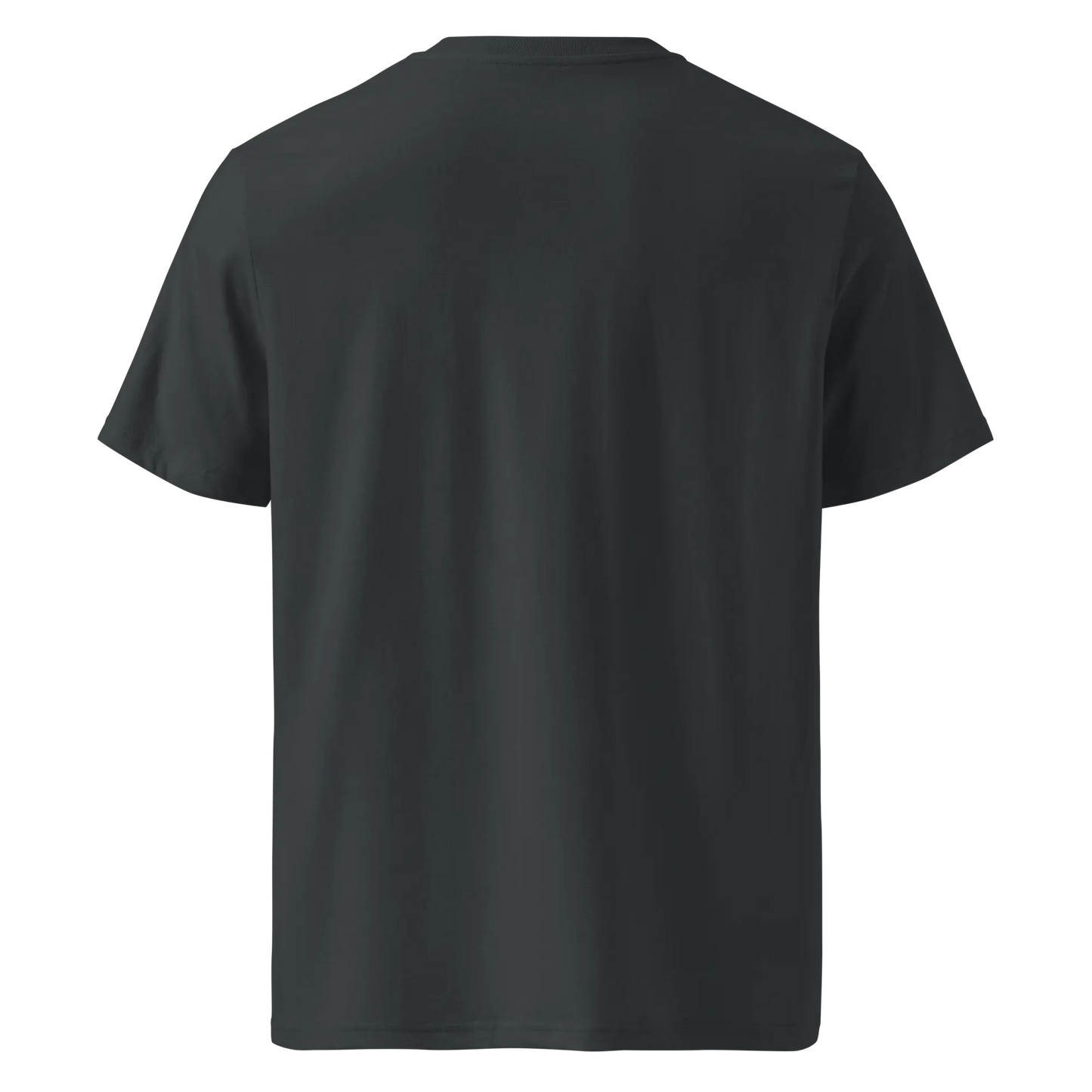 Made from 100% organic combed ring-spun cotton. Fabric weight: 5.3 oz/yd² (180 g/m²). Designed with a regular fit, set-in sleeves, 1×1 ribbed collar, double-needle topstitching on the sleeves and bottom hem, and self-fabric neck tape inside the back. Finished with a front DTG architectural print and a custom inside label.