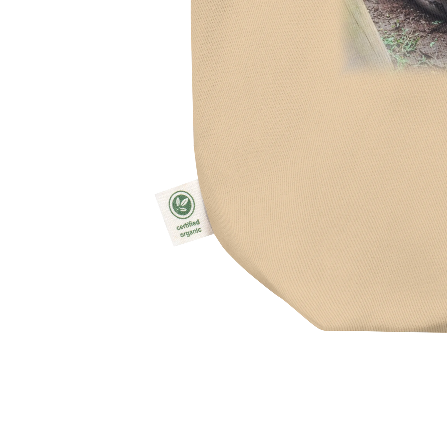 Made from 100% certified organic cotton 3/1 twill. Fabric weight: 8 oz/yd² (272 g/m²). Designed with an open main compartment, 1″ wide dual straps, and a 30 lb (13.6 kg) weight limit. Finished with a front DTG turtle photo print and the phrase “In No Rush.”